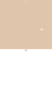 partition_wallpaper_6z_3_butterfly_white_tmb