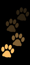 stepping_footprints_cat_yellow_tmb