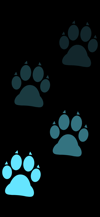 stepping_footprints_dog_blue_tmb