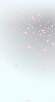 cloudy_cherry-blossom_shower_wallpaper_tmb