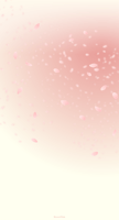 sunset_cherry-blossom_shower_wallpaper_tmb