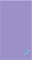 colors_2014_ss_lock_wallpaper_violet_tulip_tmb