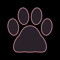 cat_border_11max_pink_lock_tmb