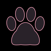 cat_border_11pro_pink_lock_tmb