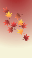 fall_hided_dock_hb_maple_red_tmb