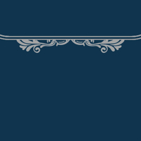 floral_border_2_11_navy_graphite_double_tmb