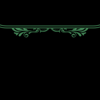 floral_border_double_midnight_greeen_tmb