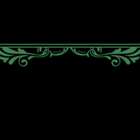floral_border_pro_double_midnight_greeen_tmb