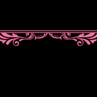 floral_border_pro_double_pink_tmb
