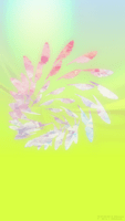 invisible_dock_2_s_feathers_tmb