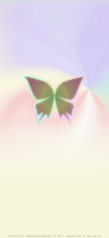 pretty_2_max_shimmery_butterfly_tmb