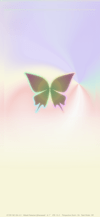 pretty_2_shimmery_butterfly_tmb