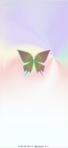 pretty_r_shimmery_butterfly_tmb
