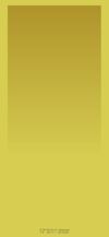quiet_dock_x_3_yellow_lock_tmb