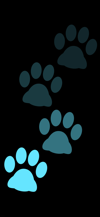 stepping_footprints_cat_blue_tmb