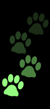 stepping_footprints_cat_green_tmb