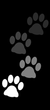 stepping_footprints_cat_white_tmb