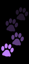 stepping_footprints_cat_purple_tmb