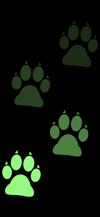 stepping_footprints_dog_green_tmb